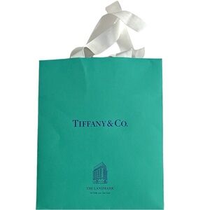 TIFFANY & Co authentic new  landmark style blue 8x10” with white ribbon